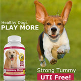 Amazing Cranberry for Dogs Pet Antioxidant, Urinary Tract Support Prevents and Eliminates UTI in Dogs