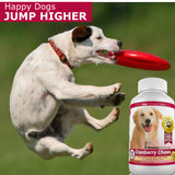 Amazing Cranberry for Dogs Pet Antioxidant, Urinary Tract Support Prevents and Eliminates UTI in Dogs